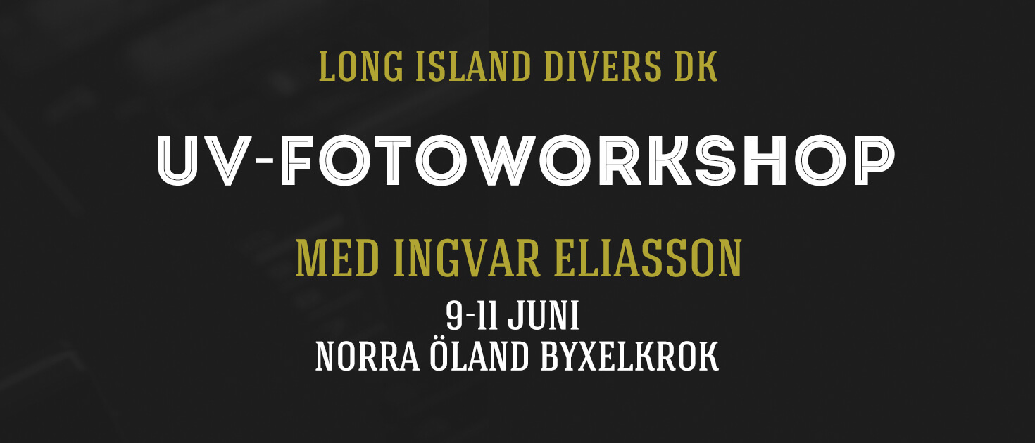 Lär dig dyka på Öland